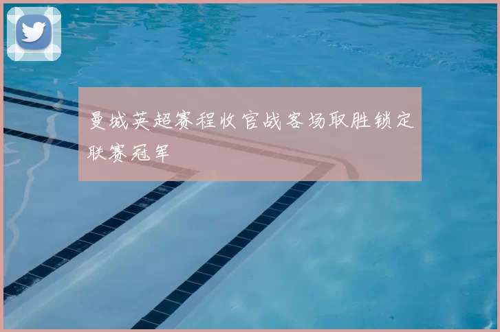 曼城英超赛程收官战客场取胜锁定联赛冠军