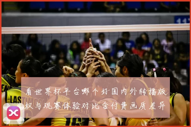 看世界杯平台哪个好国内外转播版权与观赛体验对比含付费画质差异