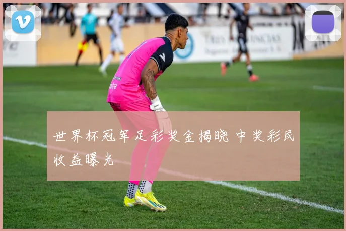 世界杯冠军足彩奖金揭晓 中奖彩民收益曝光