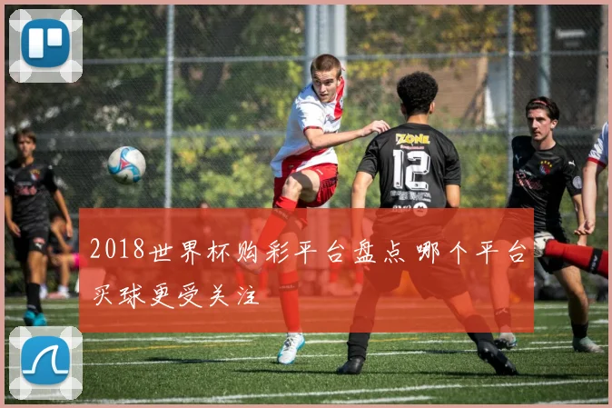 2018世界杯购彩平台盘点 哪个平台买球更受关注