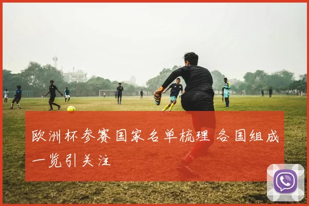 欧洲杯参赛国家名单梳理 各国组成一览引关注